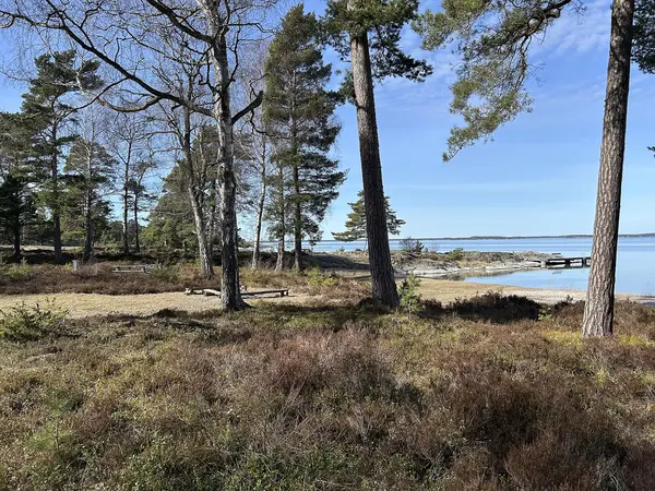 Knicksand
